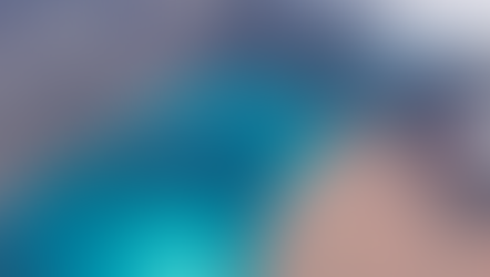 The Galapagos Islands