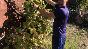 Switzerland pt 5 (More work, Hunter's Dinner, Halloween, and a Goodbye)