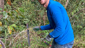 Australia: Part Three (Bush Workaway, cont'd)