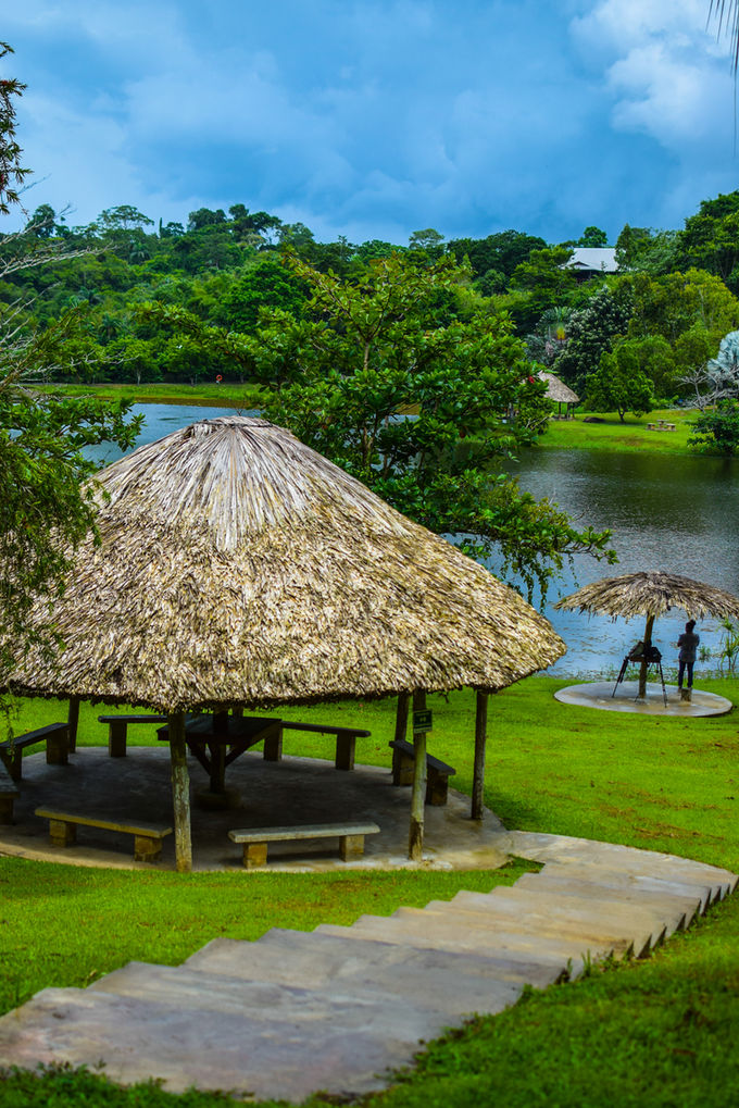 Wildlife/Nature Photography Workshop (23rd Sep 2017)