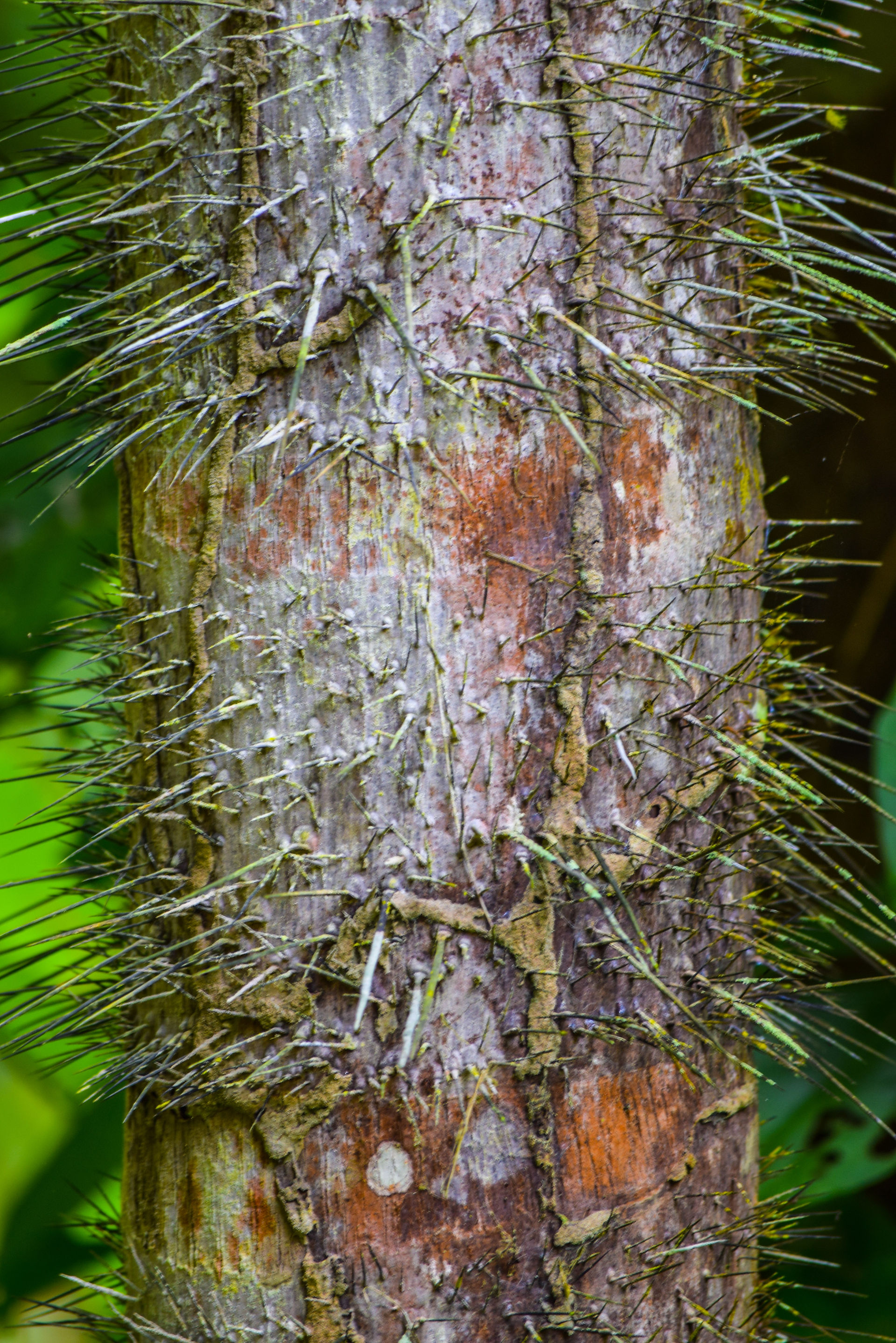 DSC_1572