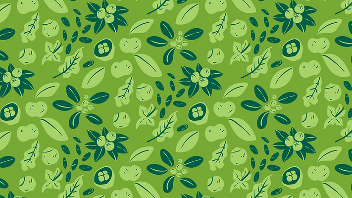 AVINC_ELEMENTOS-FLORA-08.png