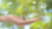 Minimal waste blog: Saving energy today for a brighter tomorrow
