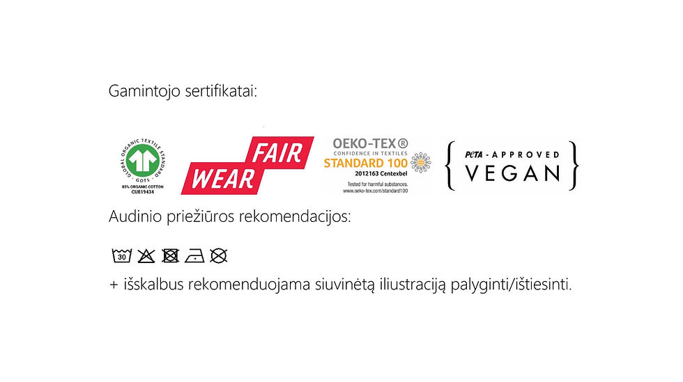 Miniatiūra: kažkoks kosmosas / krepšiokas