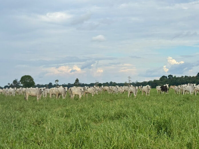 image 6 - setembro.png