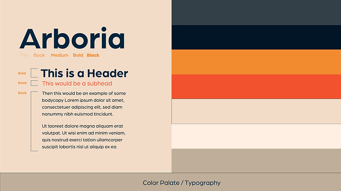 Vireo Logo Design Presentation-05.png