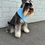 Thumbnail: Dog Bandana