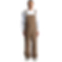 CANVAS OVERALLS | Pressed for Time