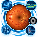 ChatGPT Image 7 Eyl 2026 17_12_44.png