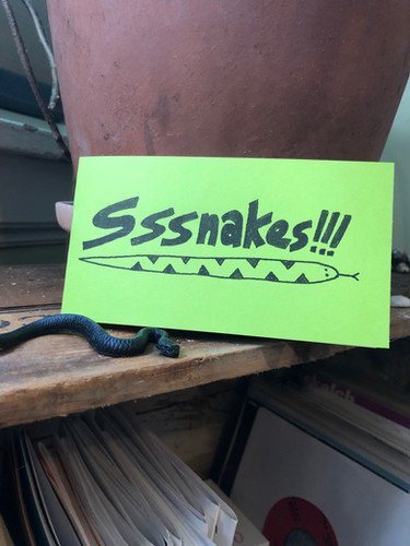 Sssnakes #3 Roostercow
