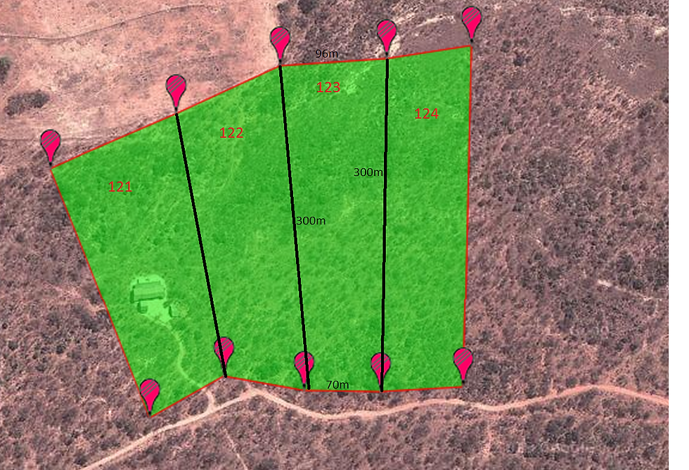 Satelite view