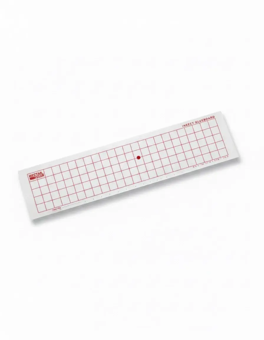 กระดาษกาวดักแมลง พร้อมตารางสีแดง HGB-002 : กระดาษกาวดักแมลง แนวตั้ง 23*55 cm(50pcs/pack) Hygienic