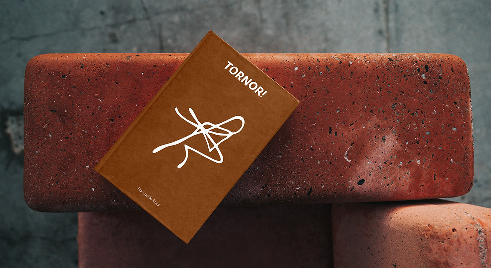 Book Mockup.jpg