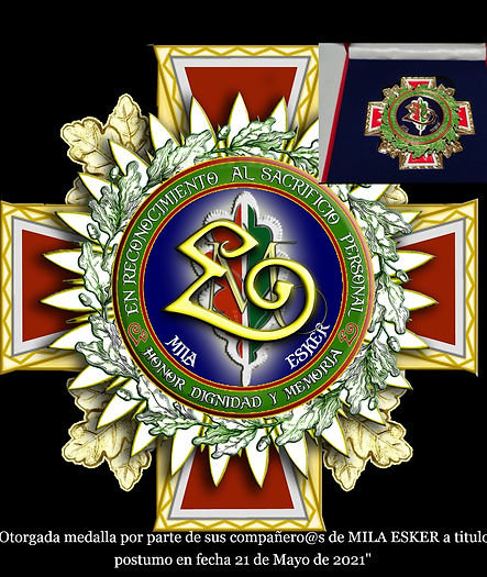 medalla aeme_edited.jpg