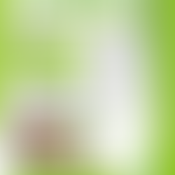 SPECIAL EVENT ~ Sunday, February 22, 2026, 1PM to 6PM: REIKI LEVEL 1 CERTIFICATION w/ Reiki Master Teacher, Melody Radmacher