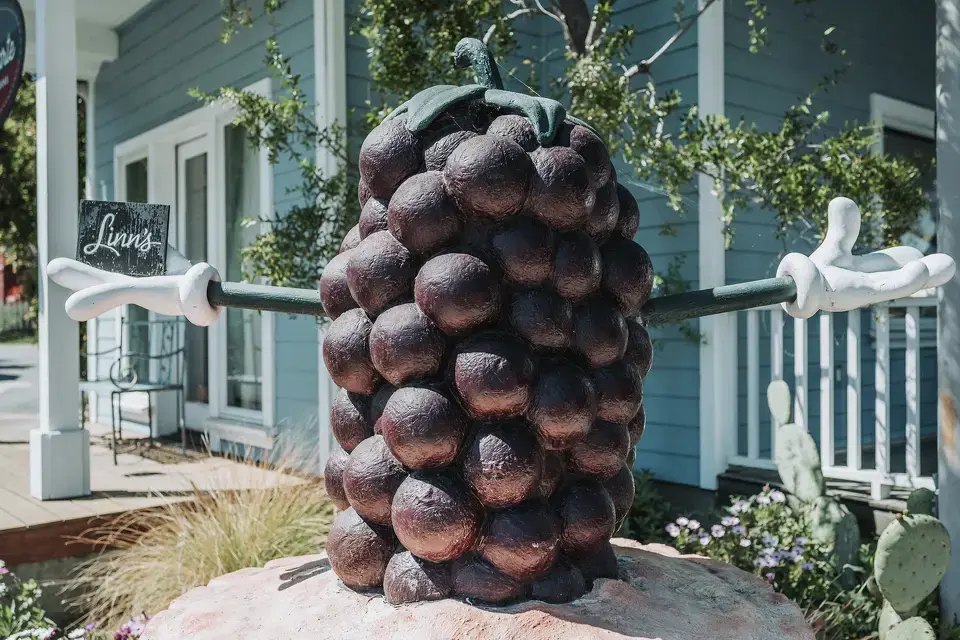 How Linn’s, turned Cambria into a destination for olallieberries