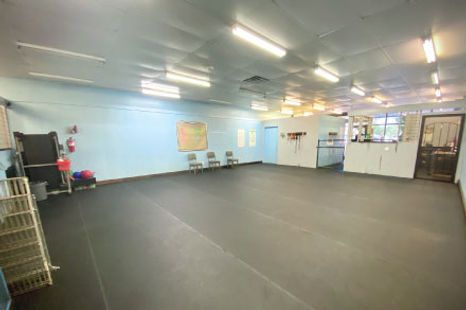 Ryker Dog Training Inside Mats