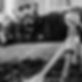 IMG_4174.jpeg