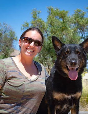 Ryker Dog Training Brittany