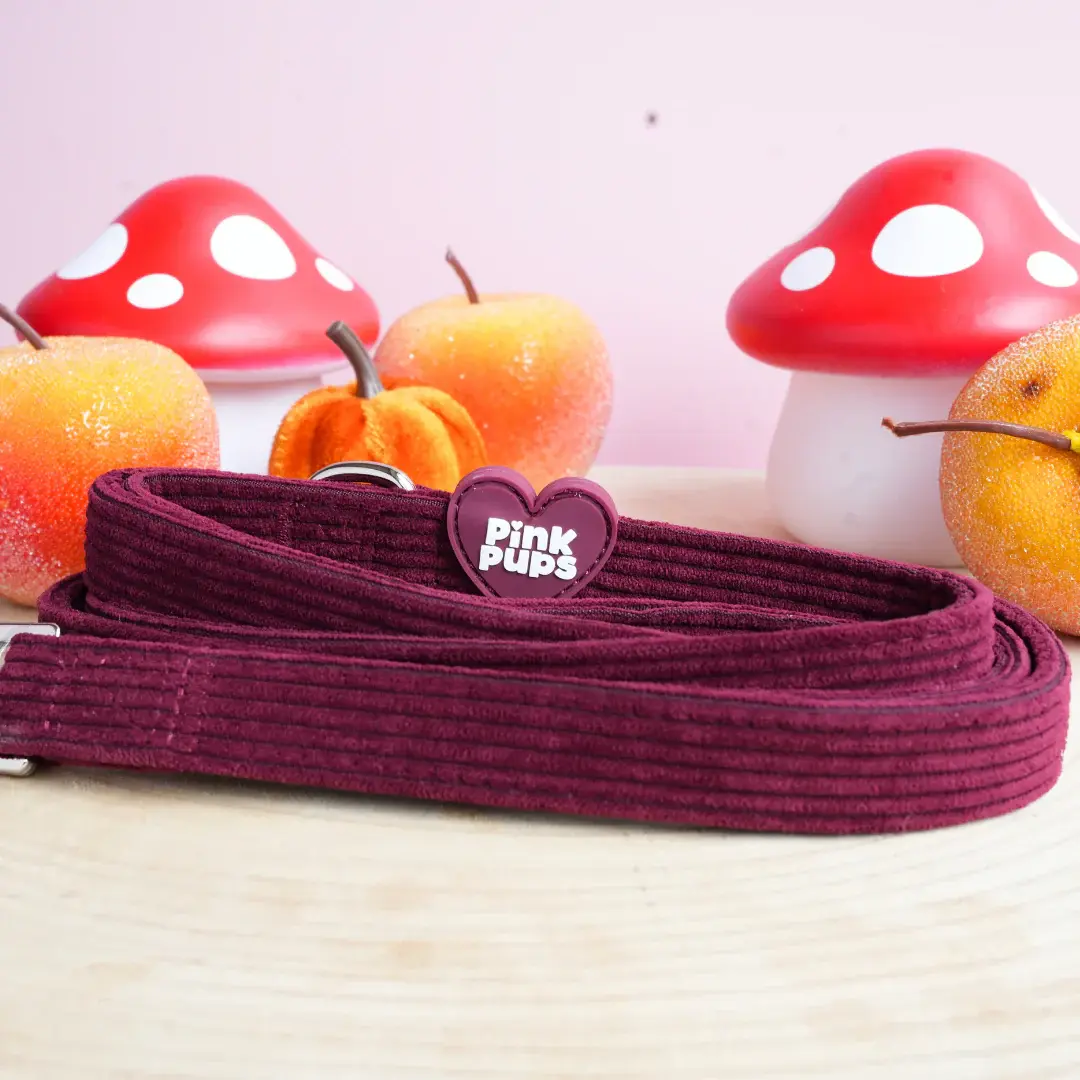 Pink Pups - Mulled Plum Corduroy Dog Lead