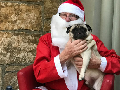 Pug Christmas Party 2016