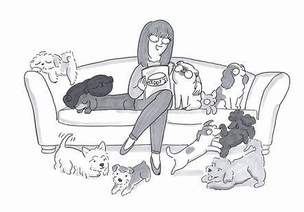 Doggy day care Northampton