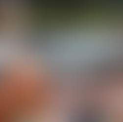 Visión Espírita nº 18