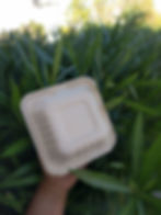 Bagasse Box