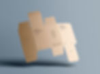 Folding Carton