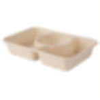 Bagasse Tray with Compartments