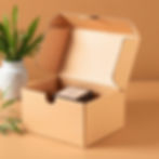 Mailer Box