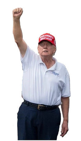 American psychosis