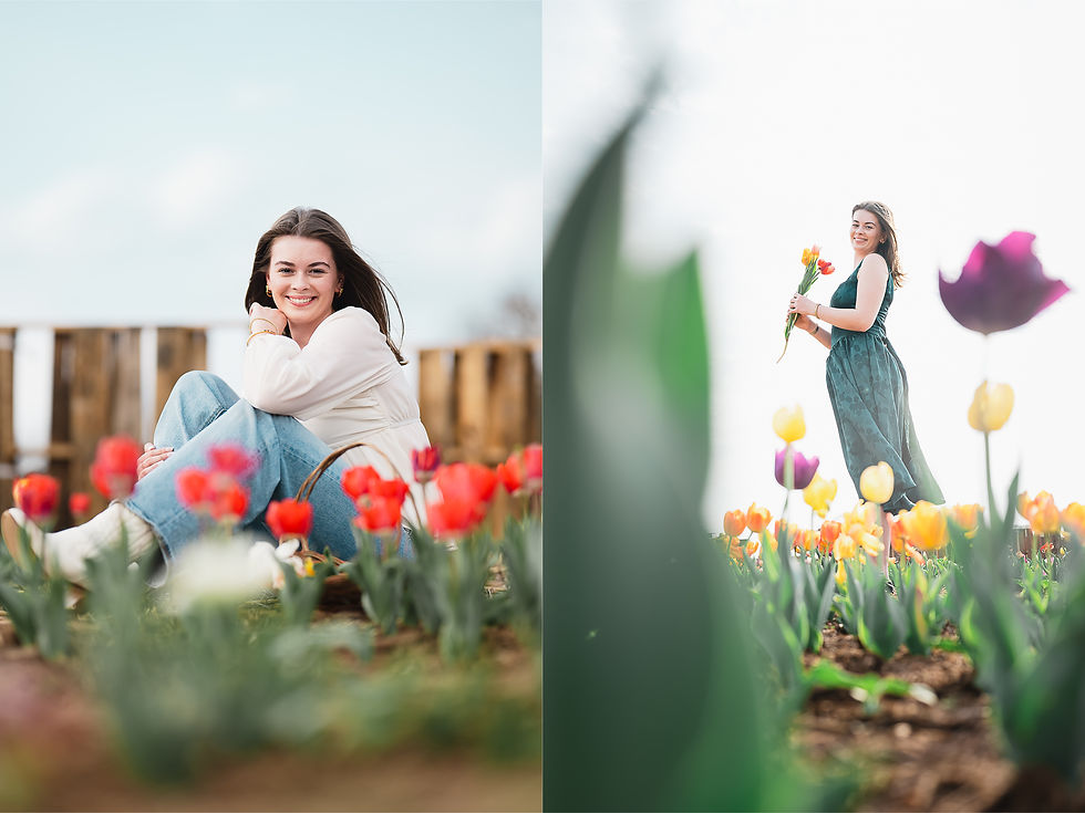 A side-by-side photo showing different angles of a senior session in a tulip field. Left: The senior sits smiling on a dirt path between rows of red tulips, wearing light jeans and a white top. Right: A blurry, low-angle shot framed by tulips, with the senior in a dark green dress holding a bouquet in the distance.