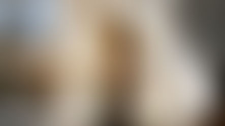 Jurisprudence, taisnīgums un jurista godprātības loma