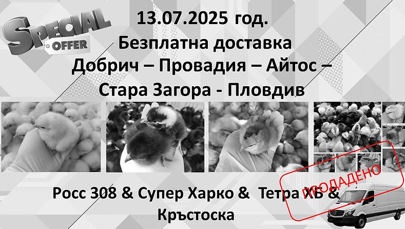 13.07 солд.jpg