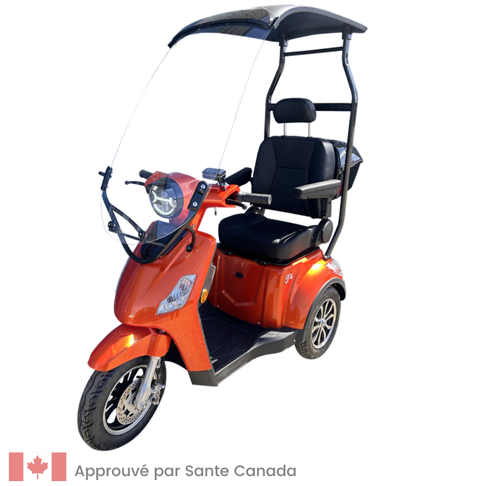 Miniature : LIBERTA - N3 AGM 41 AH ( avec toit)