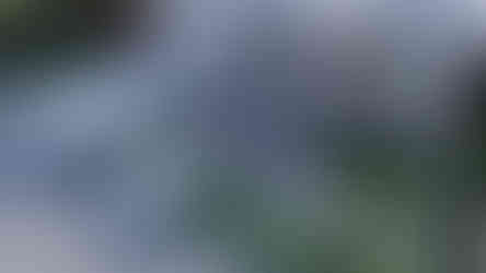 steps and paving design