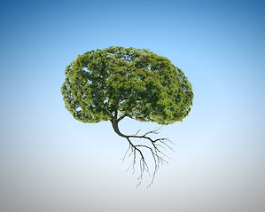 brain-tree.jpeg
