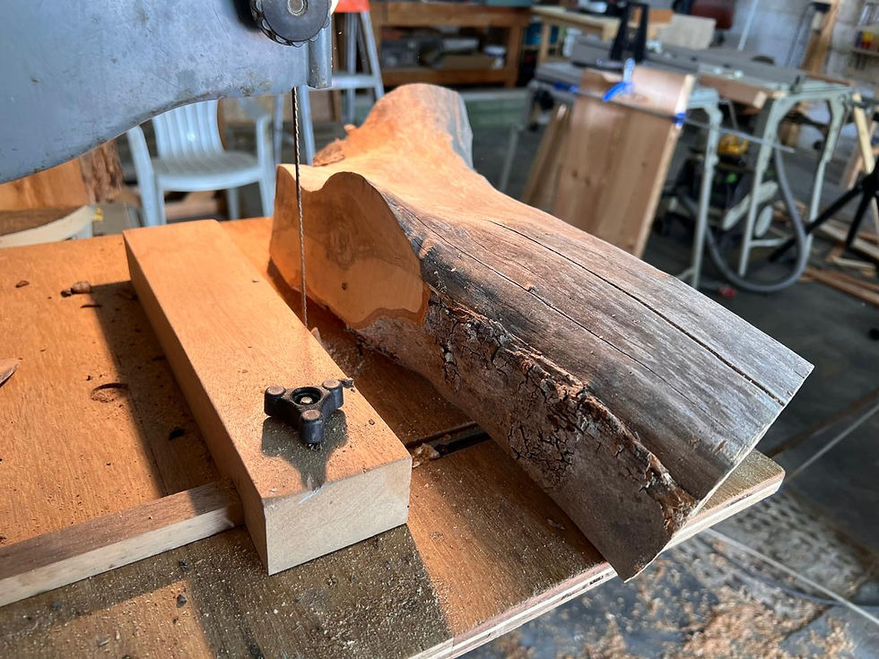 Olive Wood trunk section on the band saw.