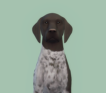 wulver.png