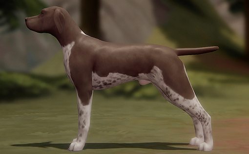 wulver2.png