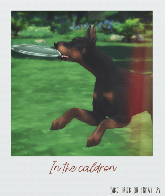In-The-Caldron.Trick2.gif