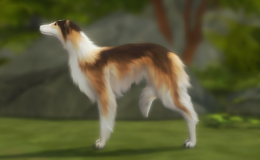 emer.png