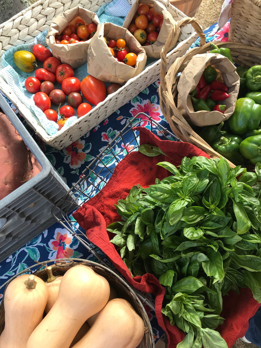Block Island Farmer's Market