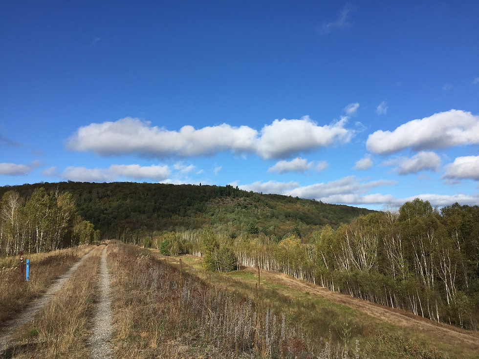 Thumbnail: Hiking Attractions - Elliot Lake ON (Map + Info)