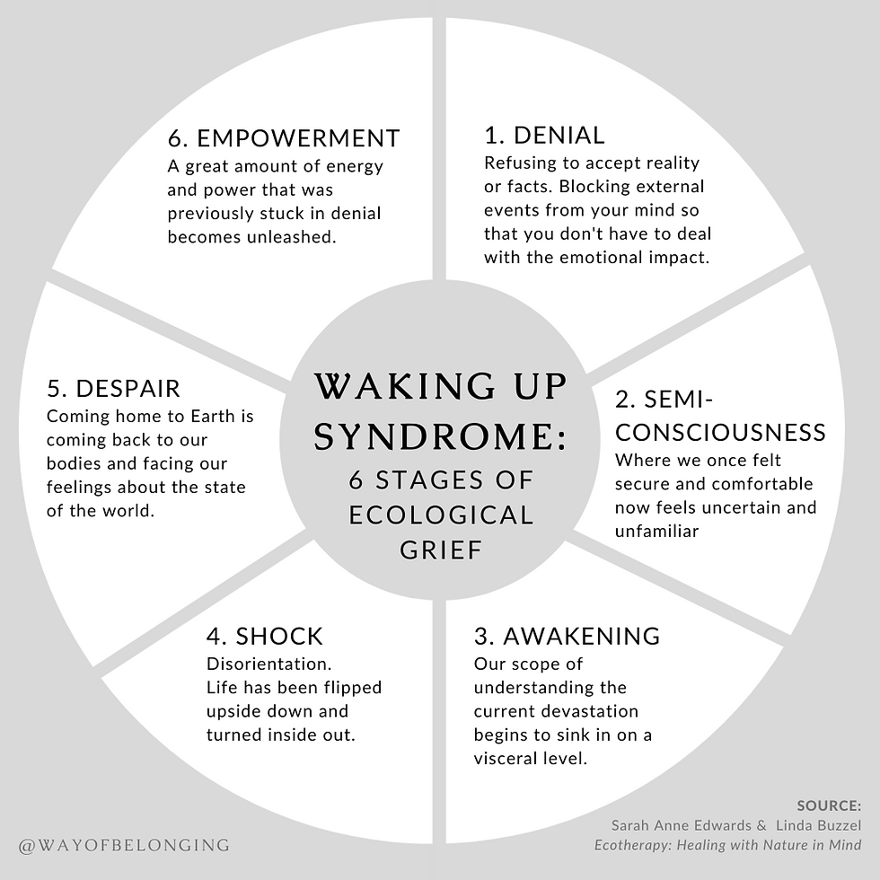 Graphic depicting the 6 Stages of Ecological Grief known as the Waking Up Syndrome