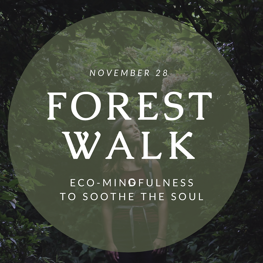 Forest Walk