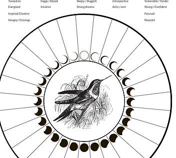 JulyMoonChart.png