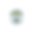 Dahyalal Foundation Logo s 2.png