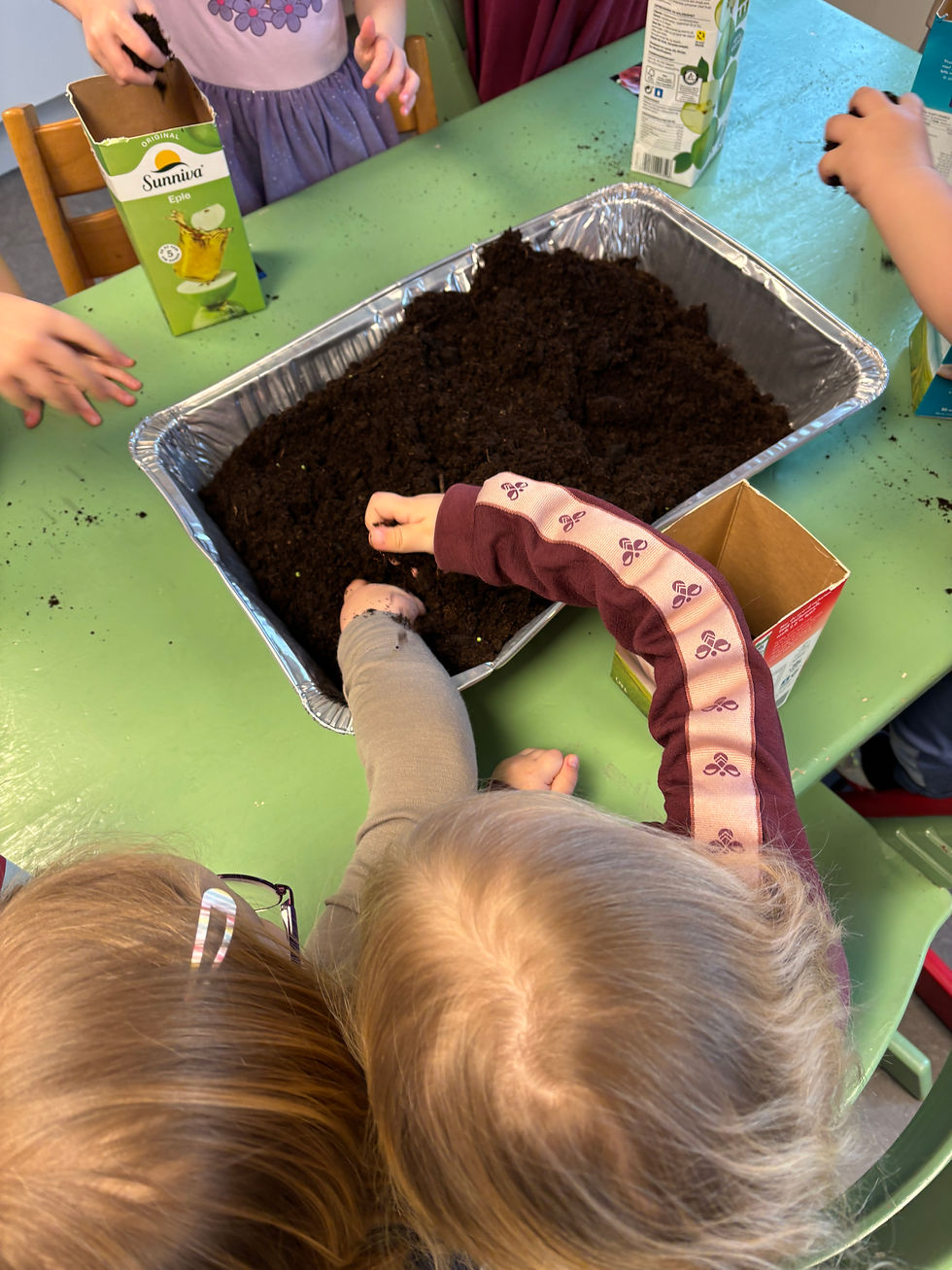 I planleggingsmøte ble vi enige om å bl a så gulrøtter og jungelagurk. Barna hadde tatt med tomme melkekartonger hjemmefra som vi kunne så i.